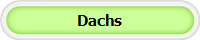 Dachs