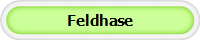 Feldhase