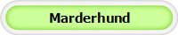 Marderhund