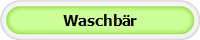 Waschb�r