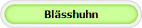 Bl�sshuhn