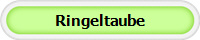 Ringeltaube