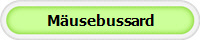 M�usebussard