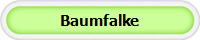 Baumfalke
