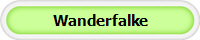 Wanderfalke