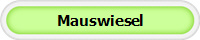 Mauswiesel