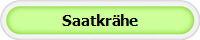 Saatkr�he
